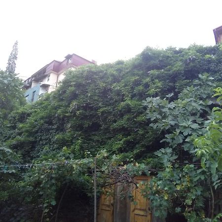 Apartment Marina Тбилиси Екстериор снимка